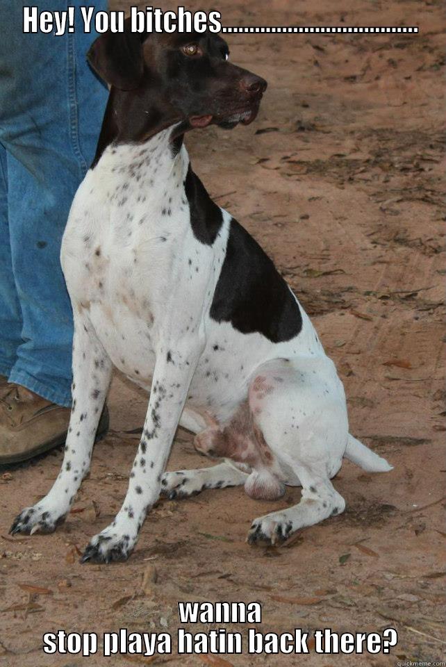 HEY! YOU BITCHES.................................... WANNA STOP PLAYA HATIN BACK THERE? Misc