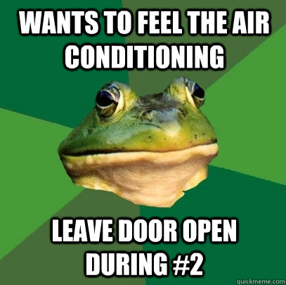 Wants to feel the air conditioning Leave door open during #2  Foul Bachelor Frog