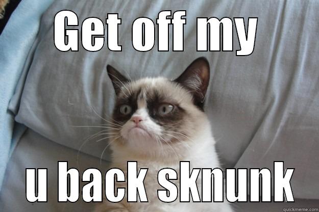 GET OFF MY  U BACK SKNUNK Grumpy Cat