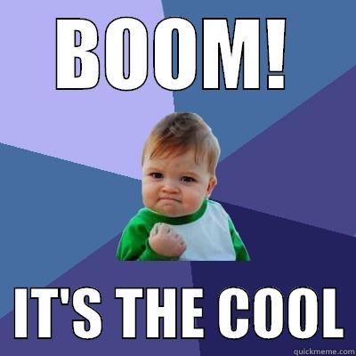 BOOM!   IT'S THE COOL Success Kid