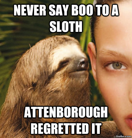 Never say boo to a sloth attenborough regretted it  rape sloth
