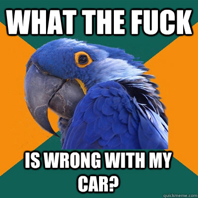 WHAT THE FUCK IS WRONG WITH MY CAR?  Paranoid Parrot