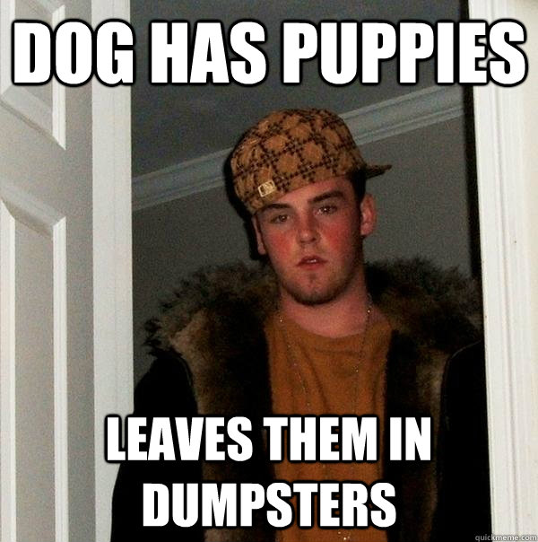 Dog has puppies leaves them in dumpsters - Dog has puppies leaves them in dumpsters  Scumbag Steve