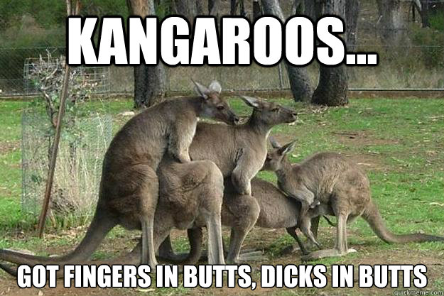 Kangaroos... Got Fingers in Butts, Dicks in Butts  Meanwhile in Australia