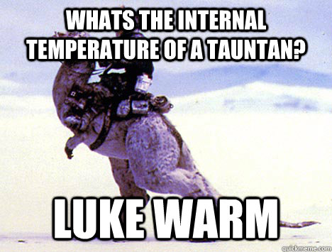 Whats the internal temperature of a tauntan? Luke Warm  