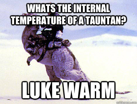Whats the internal temperature of a tauntan? Luke Warm  Scumbag Tauntaun