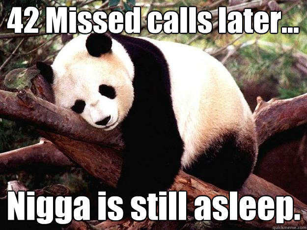 42 Missed calls later... Nigga is still asleep.  - 42 Missed calls later... Nigga is still asleep.   Procrastination Panda