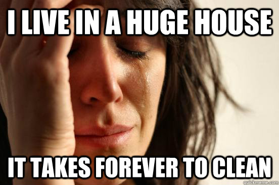 i live in a huge house it takes forever to clean  First World Problems