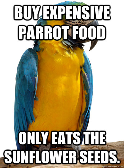 Buy expensive parrot food only eats the sunflower seeds. - Buy expensive parrot food only eats the sunflower seeds.  Scumbag Pet Parrot