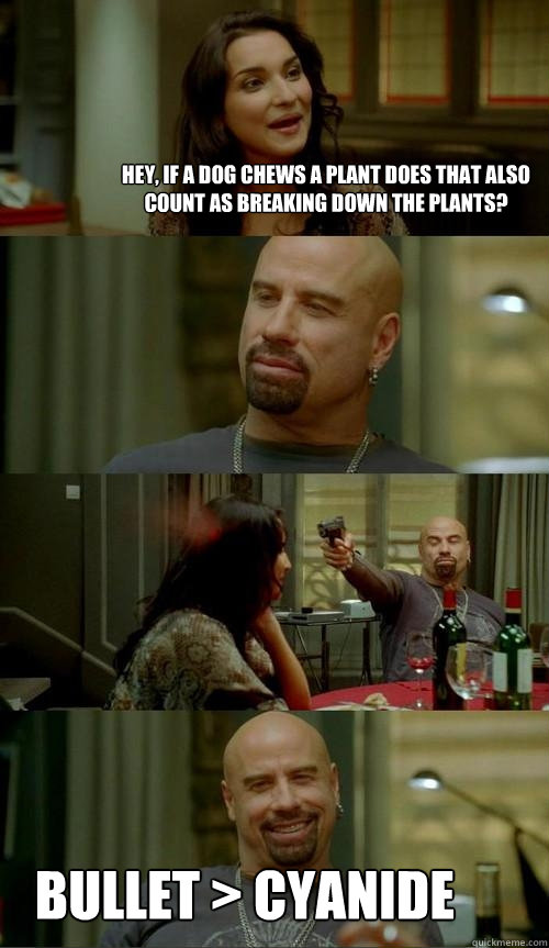 Hey, if a dog chews a plant does that also count as breaking down the plants? bullet > cyanide  Skinhead John