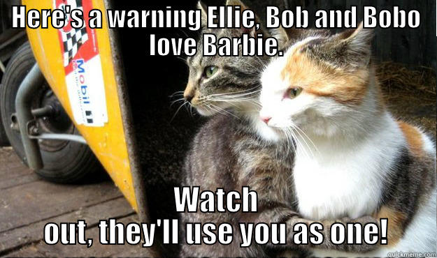 HERE'S A WARNING ELLIE, BOB AND BOBO LOVE BARBIE. WATCH OUT, THEY'LL USE YOU AS ONE! Misc