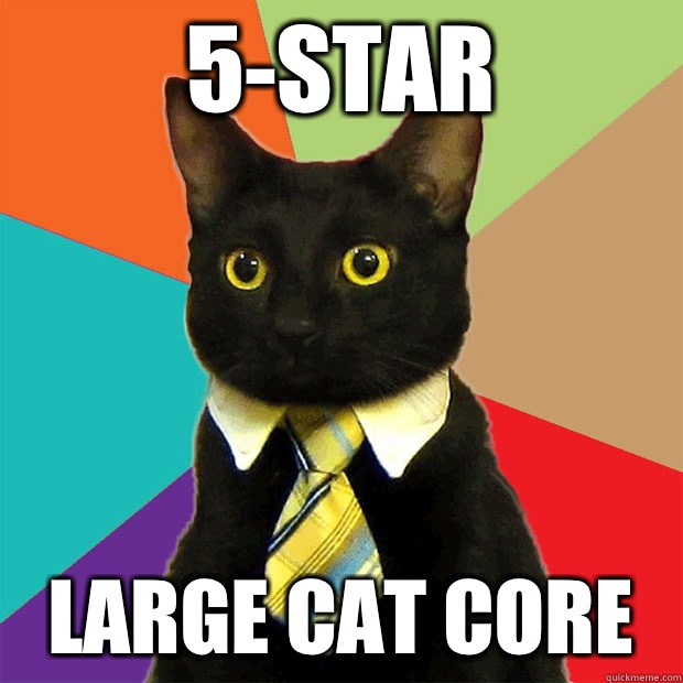 5-star Large cat core  Business Cat
