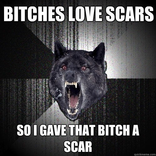 bitches love scars so i gave that bitch a scar  Insanity Wolf