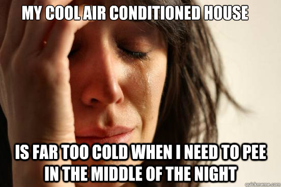 my cool air conditioned house is far too cold when i need to pee in the middle of the night  First World Problems