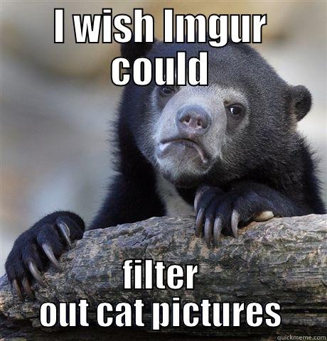 I WISH IMGUR COULD FILTER OUT CAT PICTURES Confession Bear