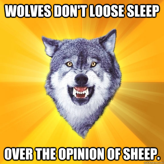 Wolves don't loose sleep over the opinion of sheep.  Courage Wolf
