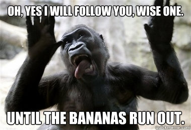 Oh, yes I will follow you, wise one. Until the bananas run out. - Oh, yes I will follow you, wise one. Until the bananas run out.  Sarcastic Gorilla