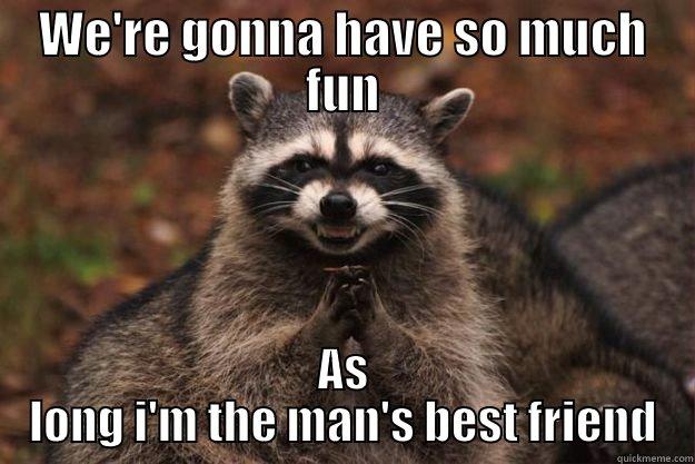 WE'RE GONNA HAVE SO MUCH FUN AS LONG I'M THE MAN'S BEST FRIEND Evil Plotting Raccoon