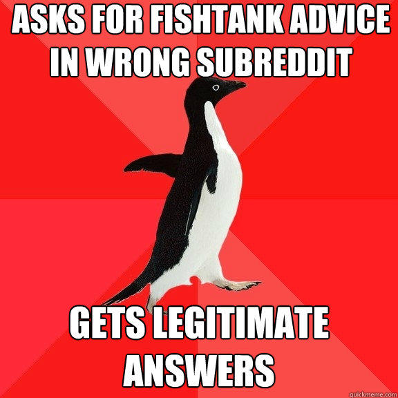 Asks for fishtank advice in wrong subreddit gets legitimate answers - Asks for fishtank advice in wrong subreddit gets legitimate answers  Socially Awesome Penguin