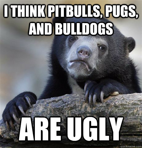 I think pitbulls, pugs, and bulldogs are ugly - I think pitbulls, pugs, and bulldogs are ugly  Confession Bear