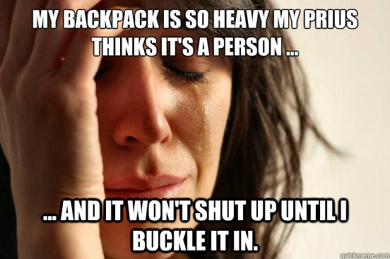 My backpack is so heavy my prius thinks it's a person ... ... and it won't shut up until I buckle it in.  First World Problems