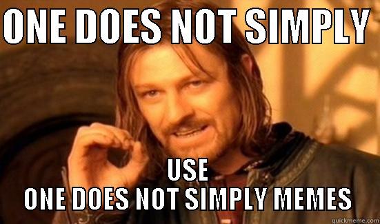 ONE DOES NOT SIMPLY  USE ONE DOES NOT SIMPLY MEMES Boromir