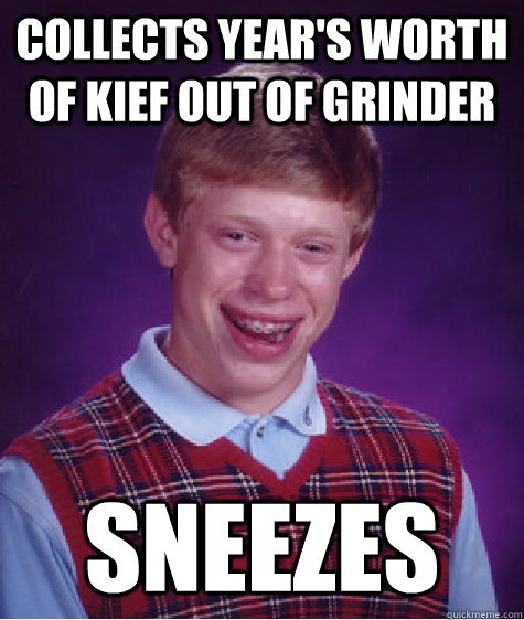 Collects year's worth of kief out of grinder Sneezes  Bad Luck Brian