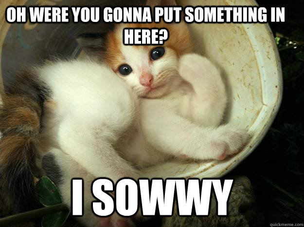 Oh were you gonna put something in here? i sowwy - Oh were you gonna put something in here? i sowwy  Misc