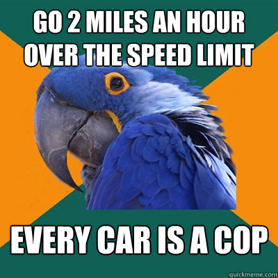 GO 2 MILES AN HOUR OVER THE SPEED LIMIT EVERY CAR IS A COP  Paranoid Parrot