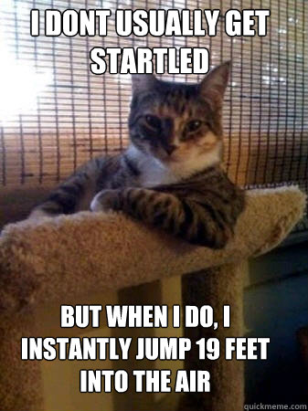 I dont usually get startled but when i do, i instantly jump 19 feet into the air  The Most Interesting Cat in the World
