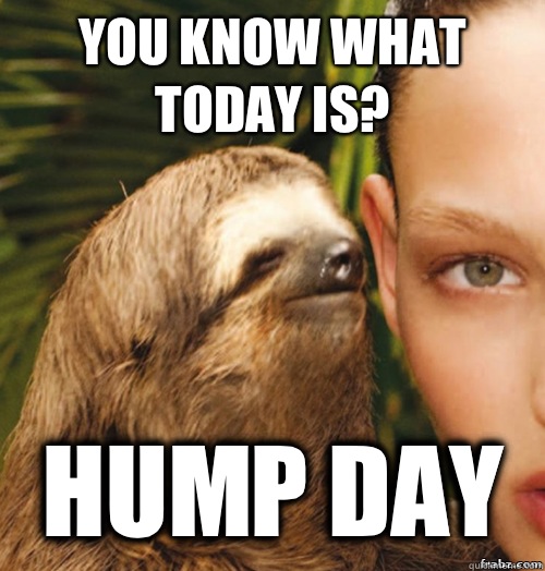 You know what today is? Hump Day - You know what today is? Hump Day  rape sloth