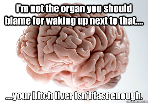 I'm not the organ you should blame for waking up next to that.... ....your bitch liver isn't fast enough.   Scumbag Brain