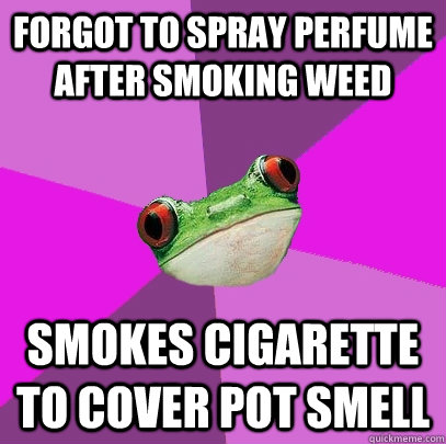 Forgot to spray perfume after smoking weed Smokes cigarette to cover pot smell  Foul Bachelorette Frog