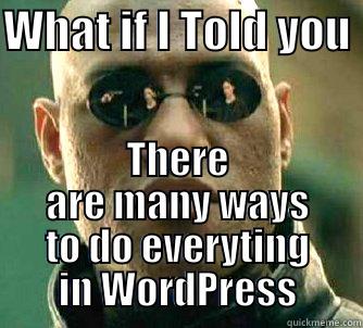 WHAT IF I TOLD YOU  THERE ARE MANY WAYS TO DO EVERYTING IN WORDPRESS Matrix Morpheus