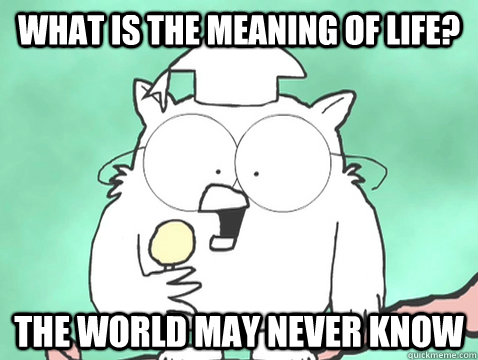 what is the meaning of life? the world may never know - what is the meaning of life? the world may never know  Misc