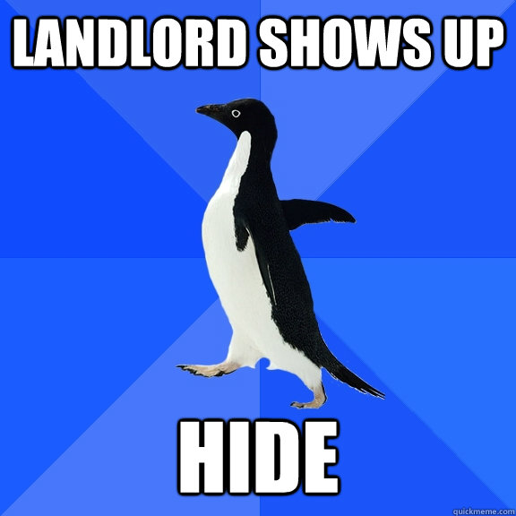 Landlord shows up Hide  Socially Awkward Penguin