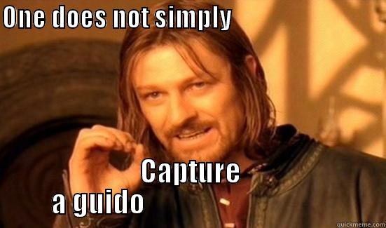 ONE DOES NOT SIMPLY                                          CAPTURE A GUIDO                                  Boromir