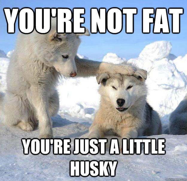 you're not fat
 you're just a little husky  