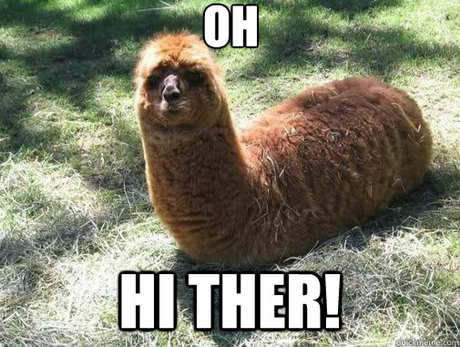 oh hi ther!  Alpacapillar