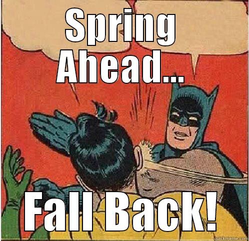 DST Batman and Robin - SPRING AHEAD... FALL BACK! Batman Slapping Robin