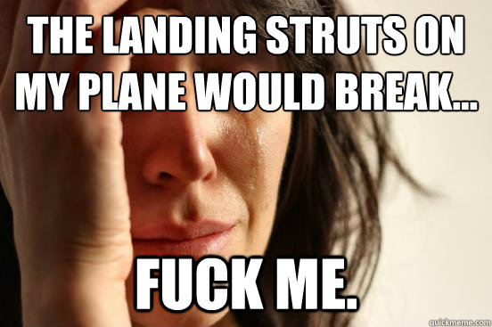 The landing struts on my plane would break... fuck me.  First World Problems