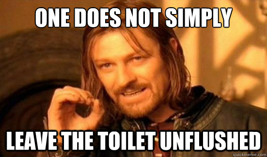 One Does Not Simply Leave the toilet unflushed - One Does Not Simply Leave the toilet unflushed  Boromir