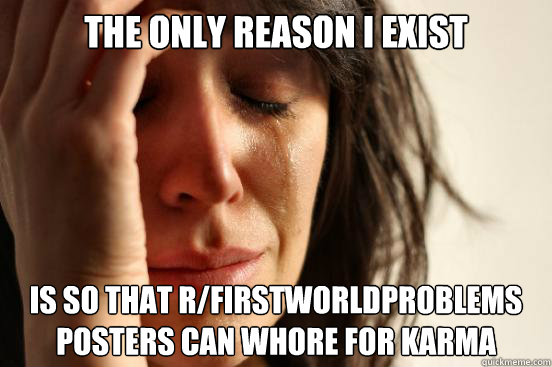 the only reason i exist is so that r/firstworldproblems posters can whore for karma  First World Problems