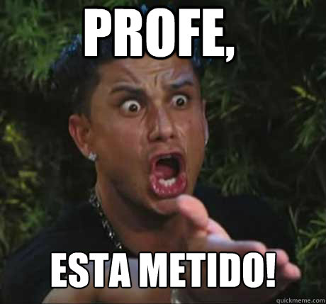 PROFE, ESTA METIDO!  Dj Pauly D