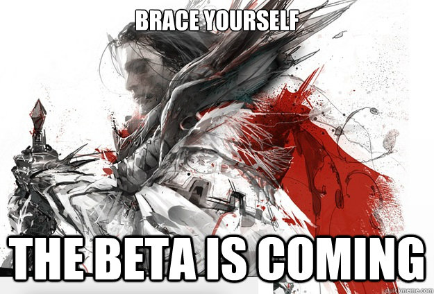 Brace yourself The beta is coming - Brace yourself The beta is coming  Guild Wars 2 Ned Stark
