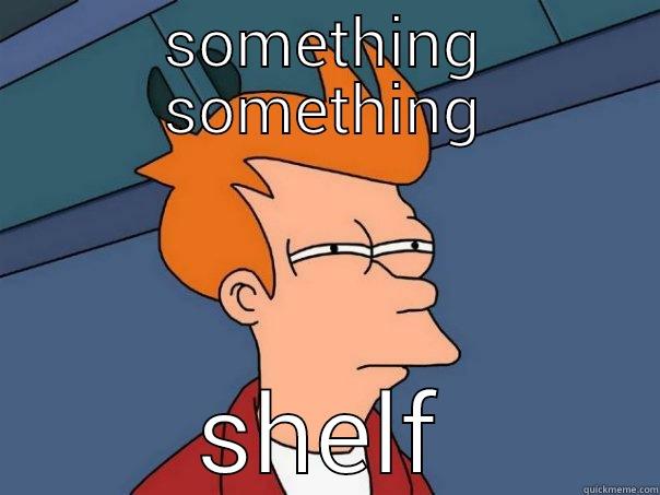 SOMETHING SOMETHING SHELF Futurama Fry