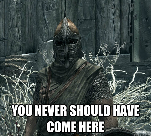  You never should have come here -  You never should have come here  Skyrim Guard