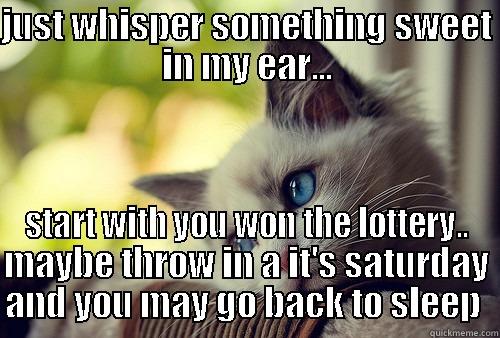 JUST WHISPER SOMETHING SWEET IN MY EAR... START WITH YOU WON THE LOTTERY.. MAYBE THROW IN A IT'S SATURDAY AND YOU MAY GO BACK TO SLEEP  First World Problems Cat