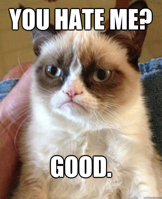You hate me? good. - You hate me? good.  Grumpy Cat