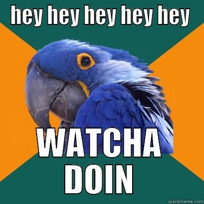 HEY HEY HEY HEY HEY WATCHA DOIN Paranoid Parrot